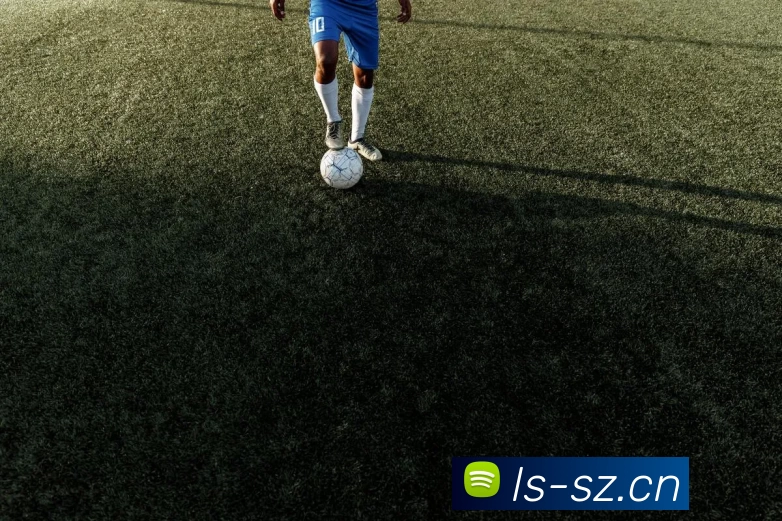 App Interface Preview